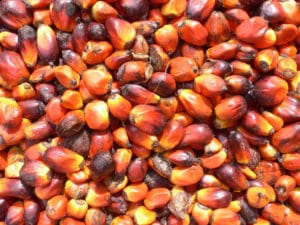 Palm_oil_production
