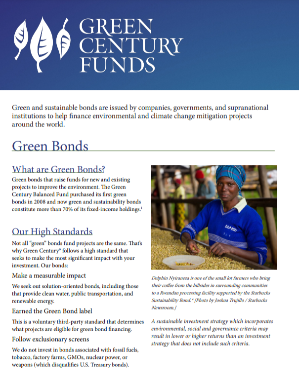 Green Bonds front page screenshot